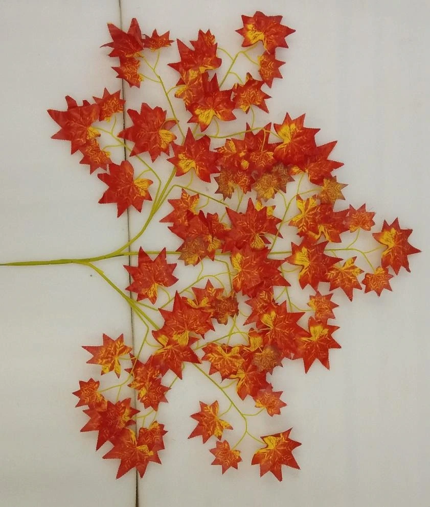 Maple Leaves Jumbo x1
